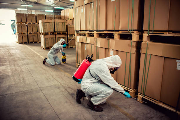 Best Best Pest Control Companies  in Iraan, TX