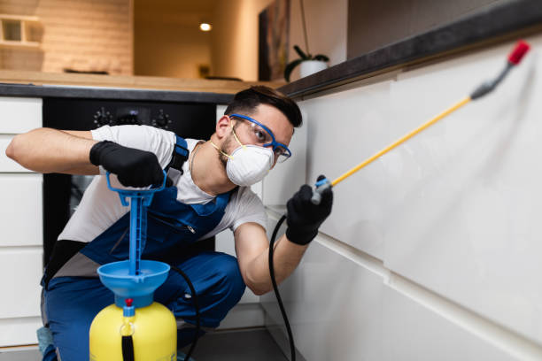 Best Pest Control Near Me  in Iraan, TX