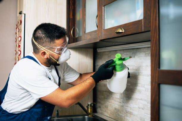 Professional Pest Control in Iraan, TX