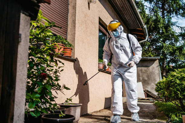 Pest Control Cost in Iraan, TX