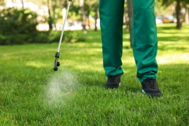 Best Commercial Pest Control Services  in Iraan, TX