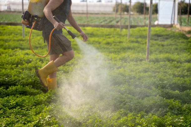Best Pest Control Treatment  in Iraan, TX