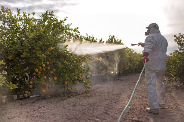 Best Local Pest Control Services  in Iraan, TX
