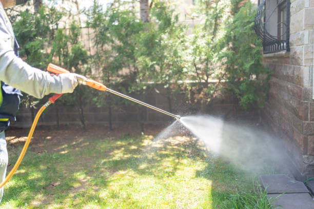 Best Exterminator Services  in Iraan, TX