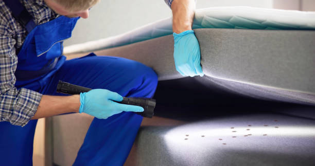 Best Ant Control Services  in Iraan, TX