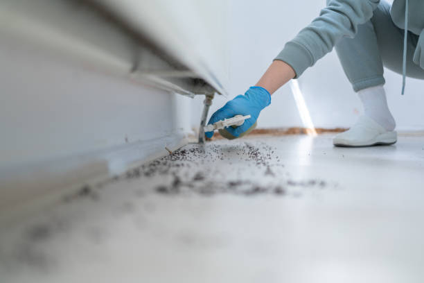 Best Pest Removal Services  in Iraan, TX