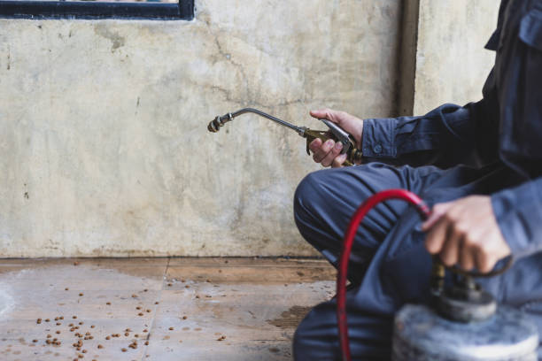 Best Exterminator Services  in Iraan, TX